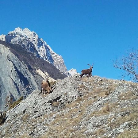 דירות Location Vacances Saint Michel De Maurienne "Le Dahu" מראה חיצוני תמונה