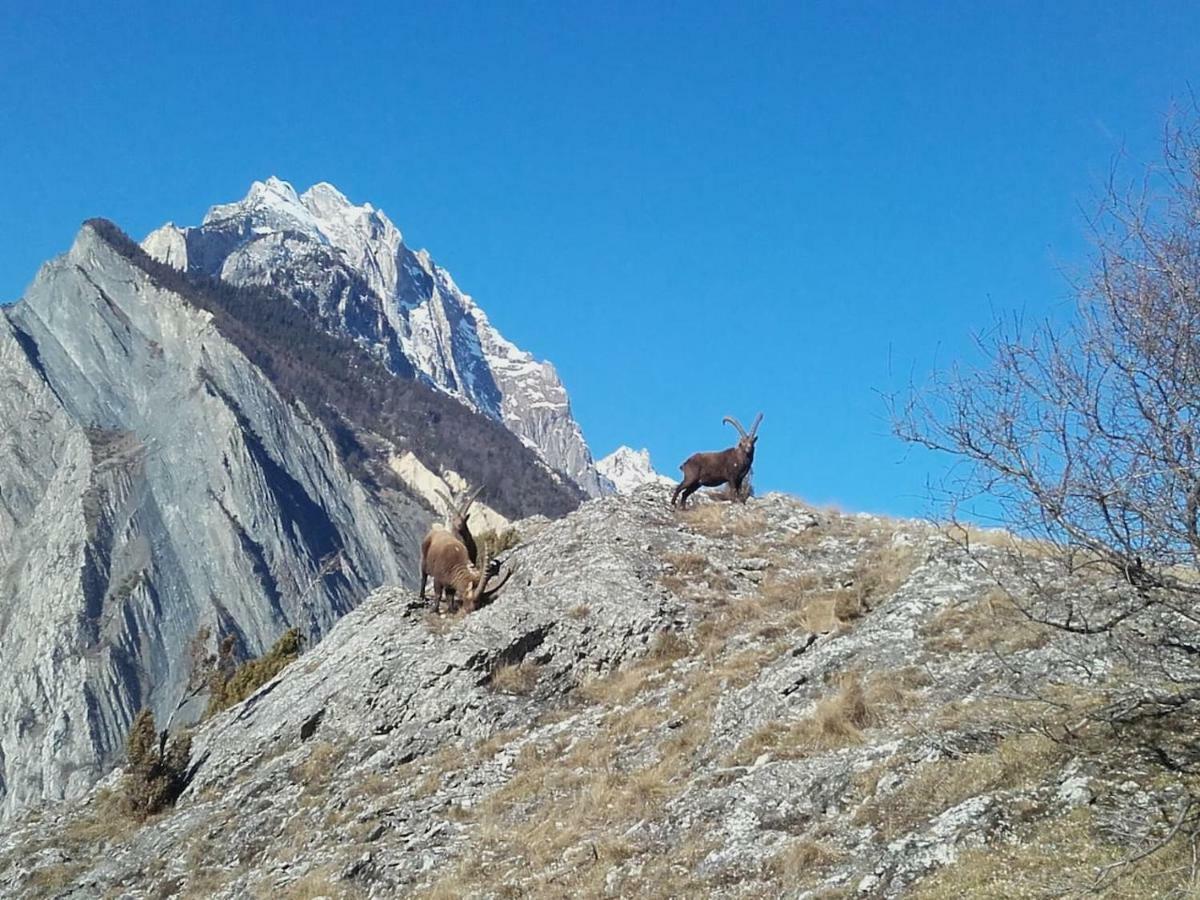 דירות Location Vacances Saint Michel De Maurienne "Le Dahu" מראה חיצוני תמונה
